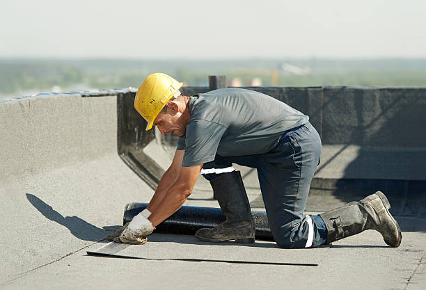 Best Insulation Materials and Products in Chicago Heights, IL